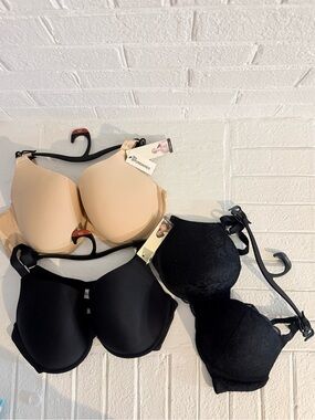 Everyday Smooth and Lace T-Shirt Bra Set - Beige & Black